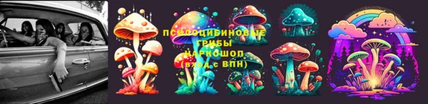 а пвп мука Абаза