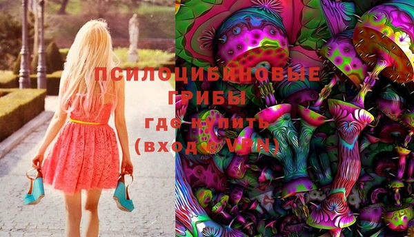 ГАЛЛЮЦИНОГЕННЫЕ ГРИБЫ Приозерск