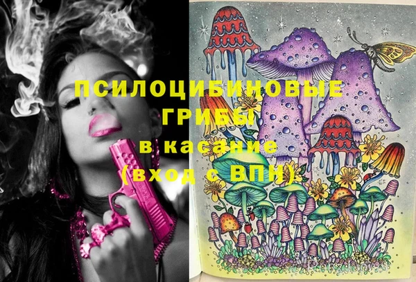 а пвп мука Абаза