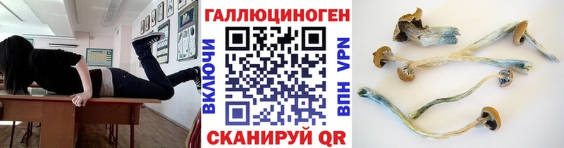 Галлюциногенные грибы Psilocybine cubensis  Нариманов 